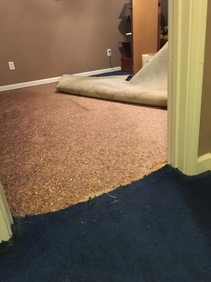 Carpet pad removal revealing water damage during Water Mitigation Services in Spring Hill