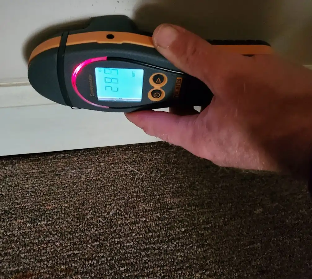 Moisture detection at baseboard during Mold Inspection & Testing in Spring Hill